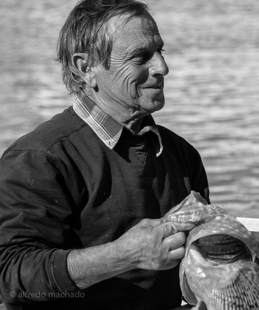 Alfredo Machado Zingg - Marseille Fisherman